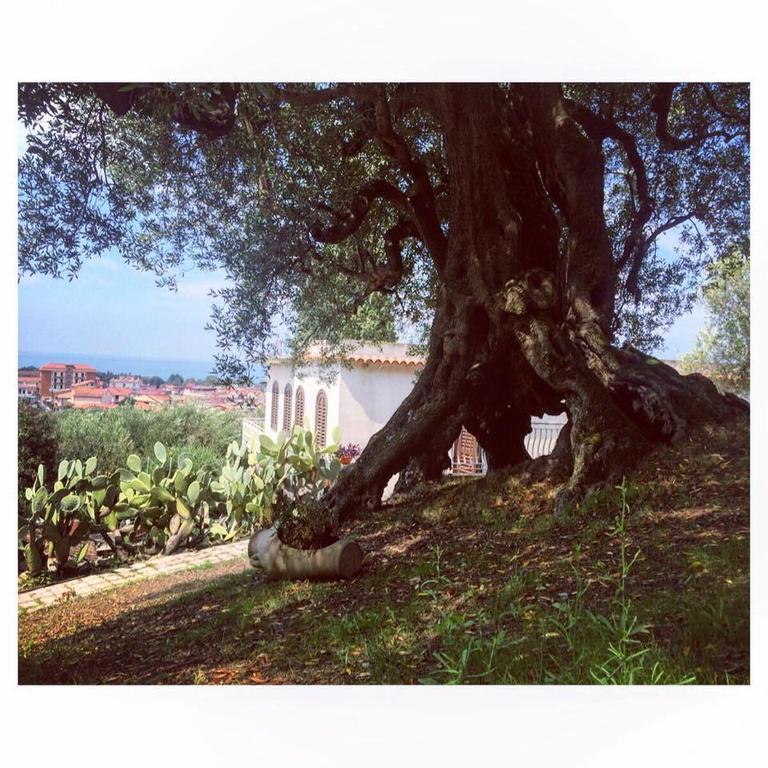 Maison d'hôtes Il Paradiso Di Hyele