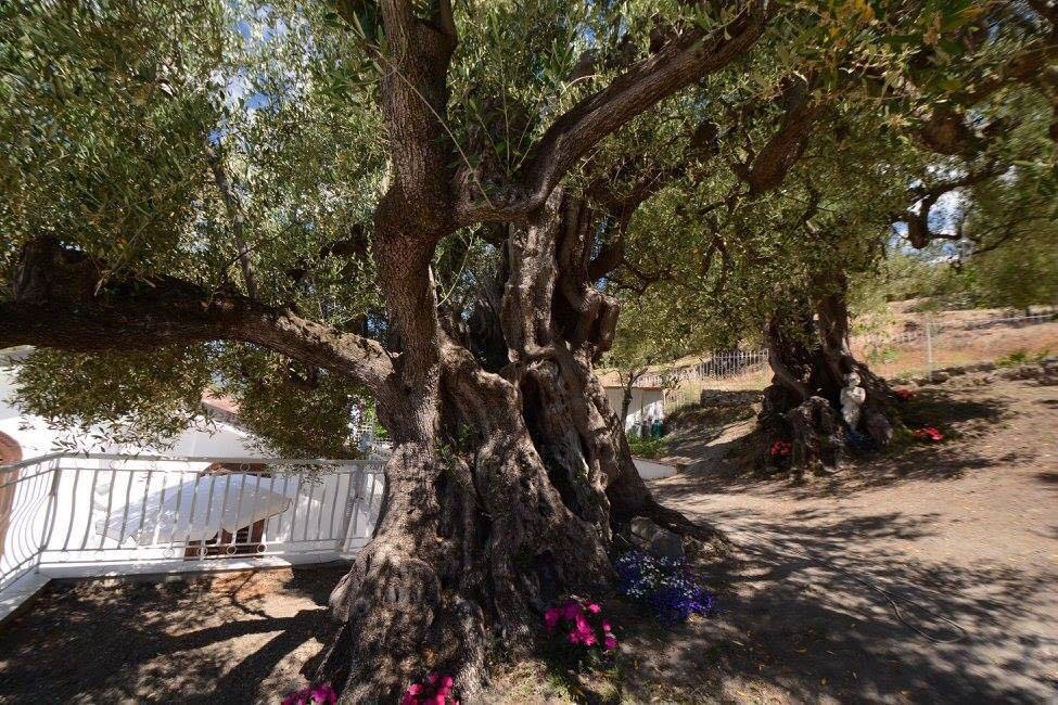 Maison d'hôtes Il Paradiso Di Hyele
